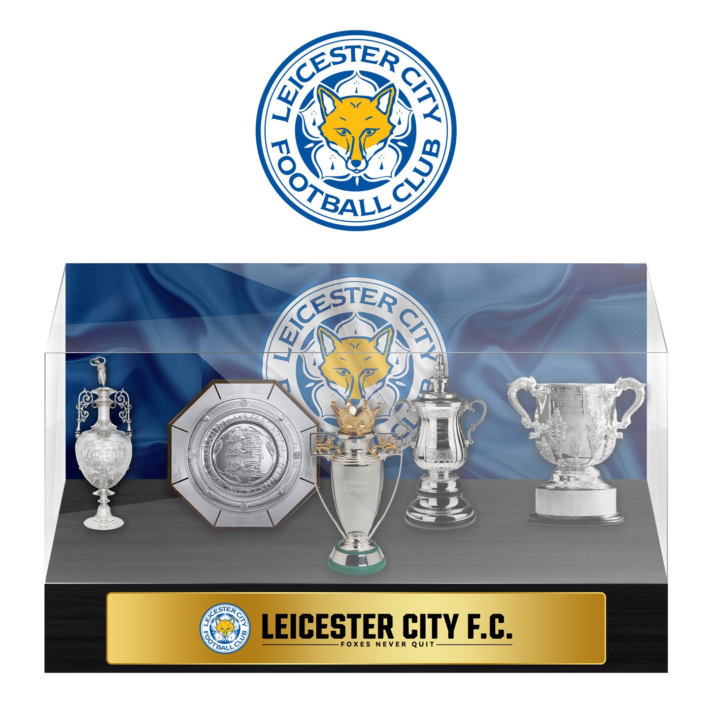 Leicester City Football Championship Trophy Display Case