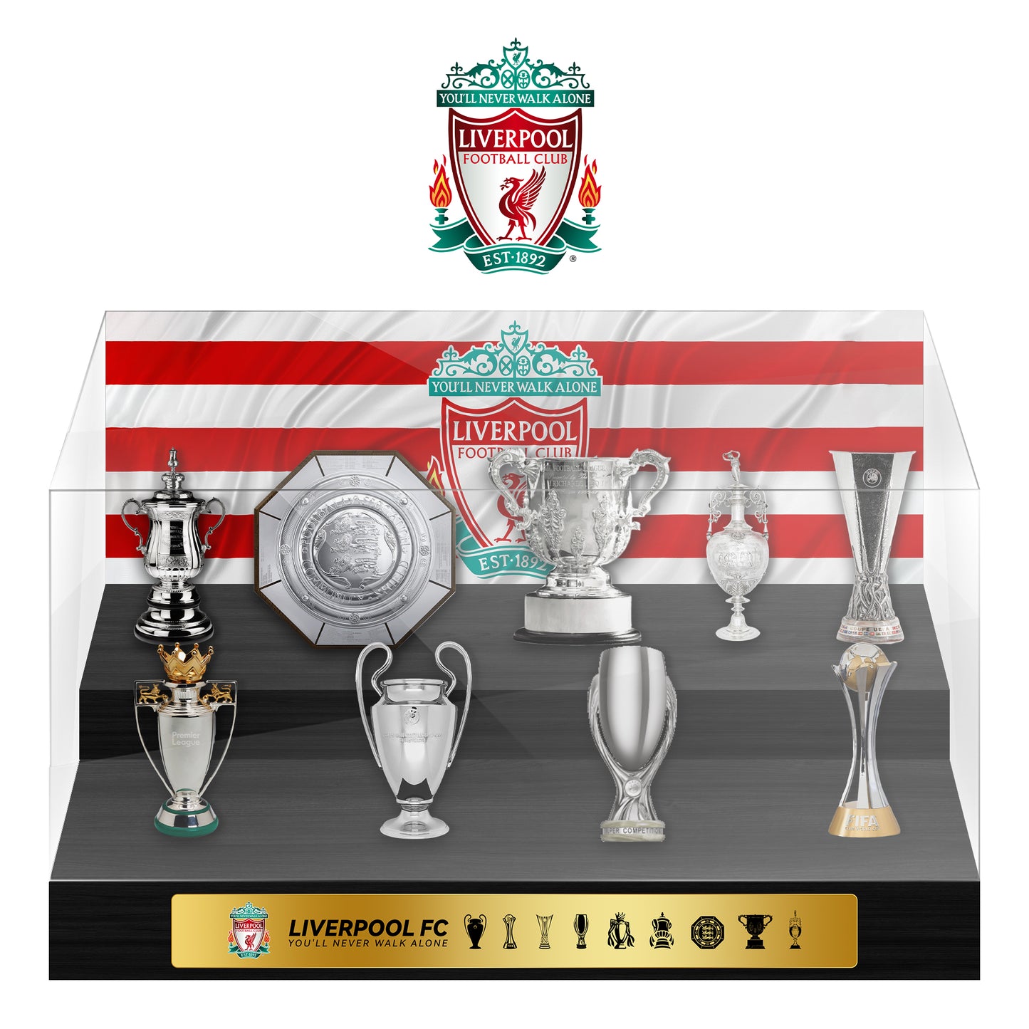Liverpool Football Championship Trophy Display Case