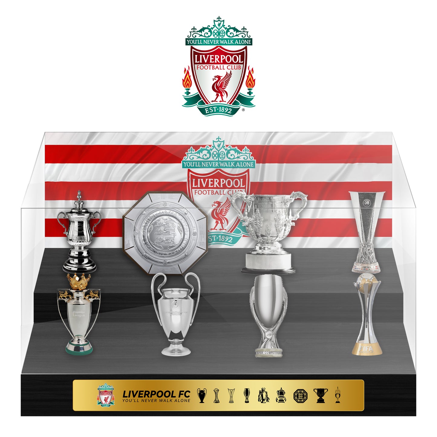 Liverpool Football Championship Trophy Display Case