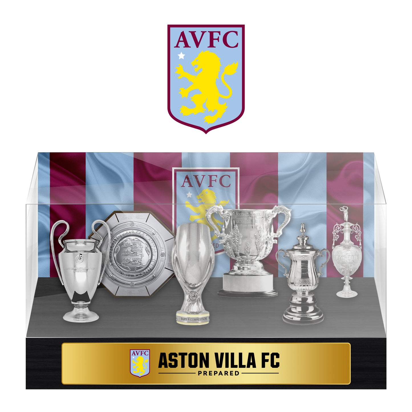 Aston Villa Football Championship Trophy Display Case