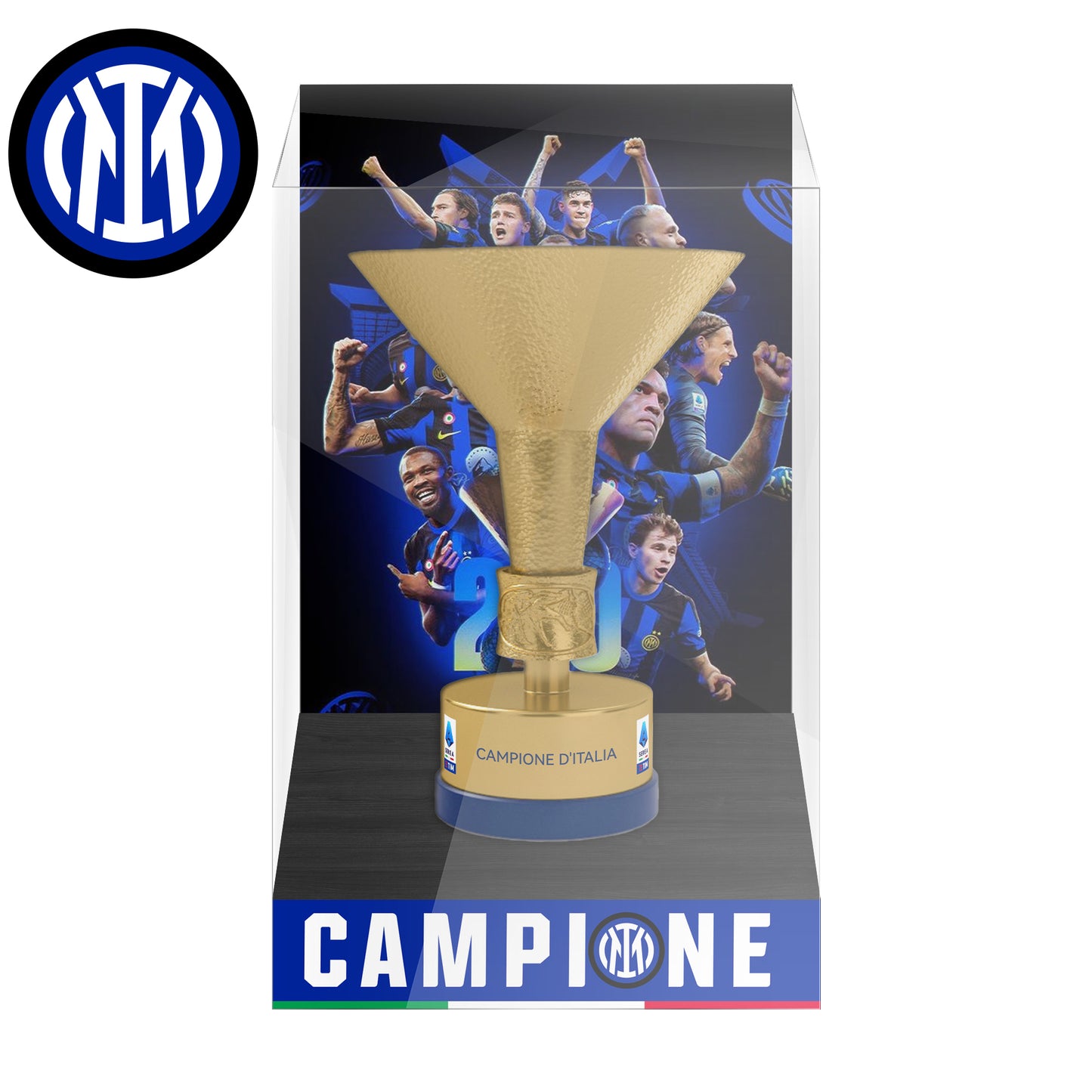 Serie A Championship Trophy Display Case