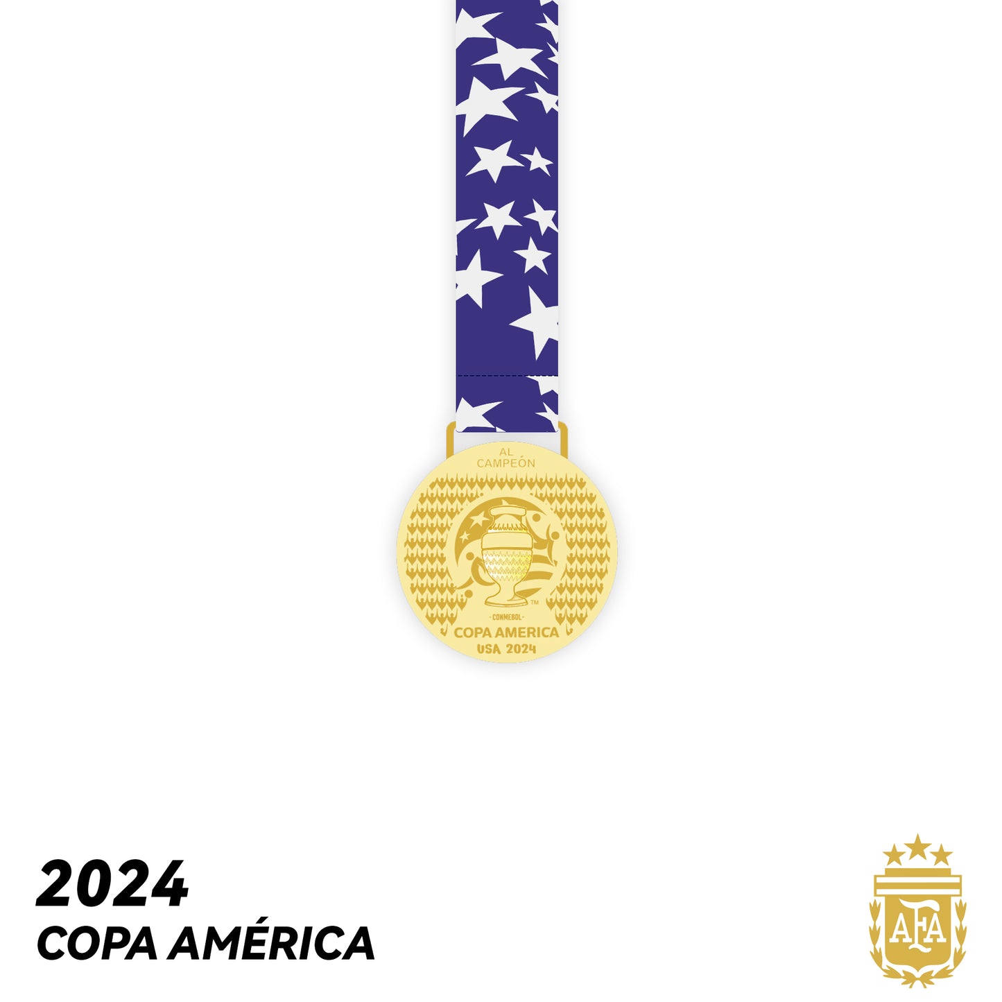 2024 Argentina Copa América Football Medal Frame
