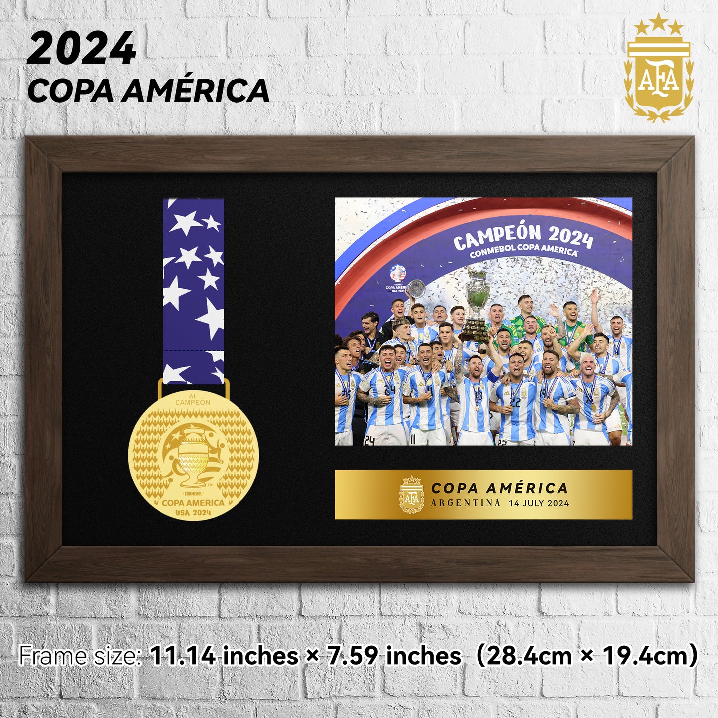 2024 Argentina Copa América Football Medal Frame