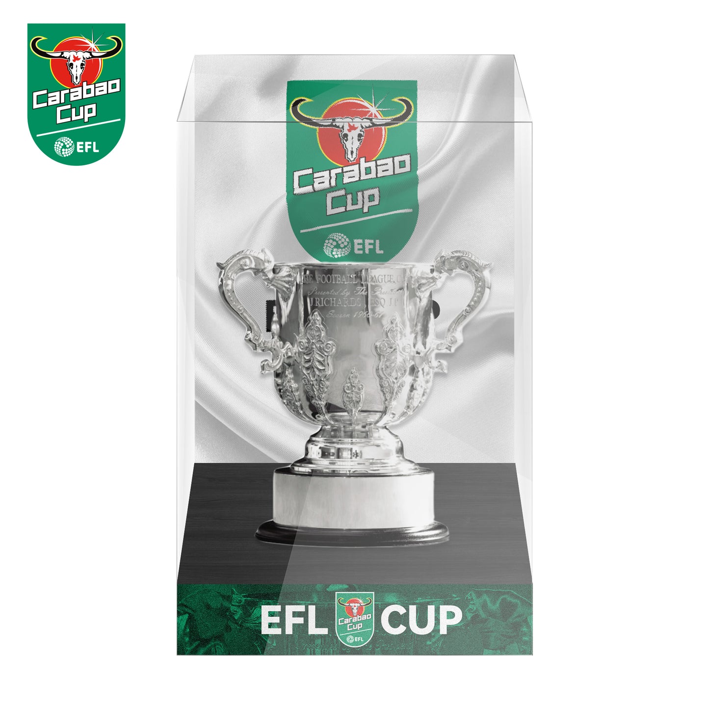 EFL Carabao Cup Championship Trophy Display Case