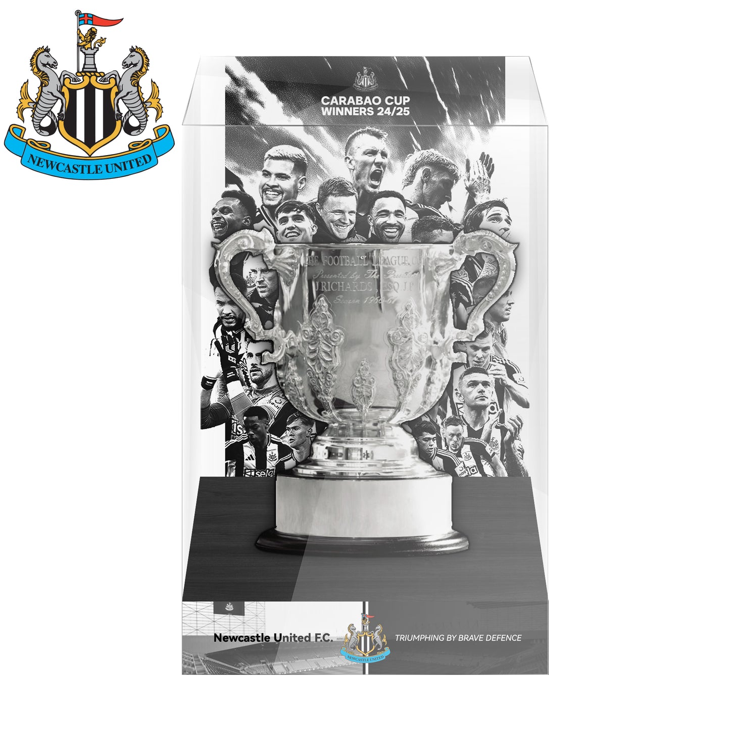 EFL Carabao Cup Championship Trophy Display Case