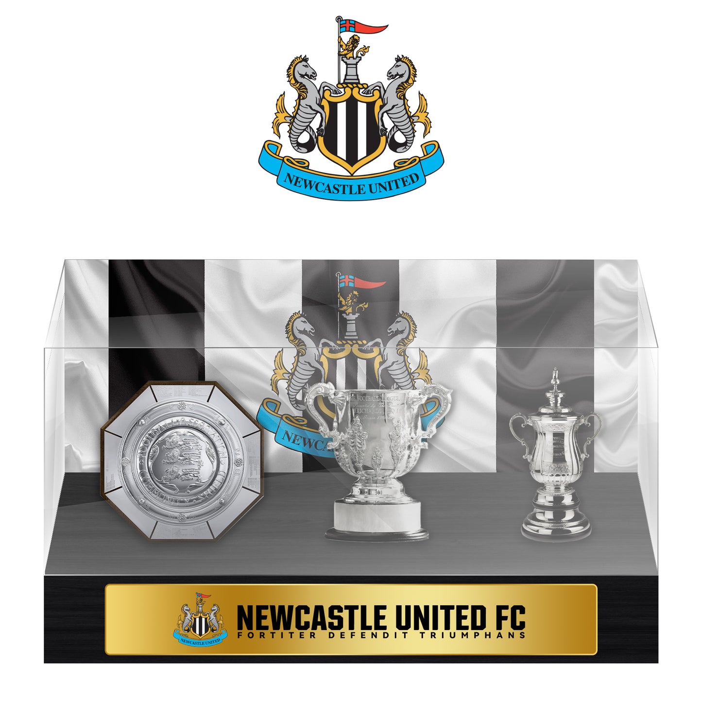 Newcastle United Football Championship Trophy Display Case