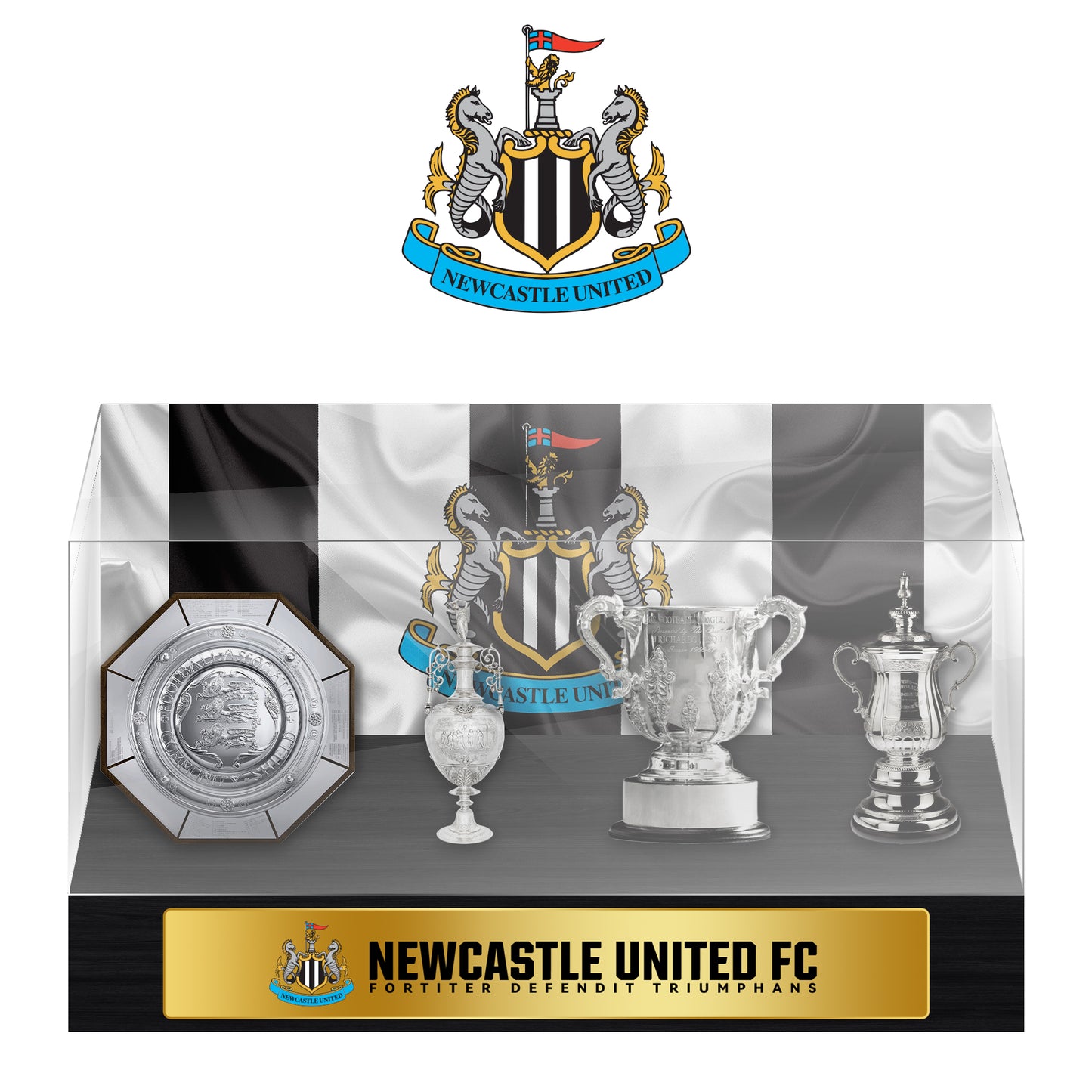 Newcastle United Football Championship Trophy Display Case