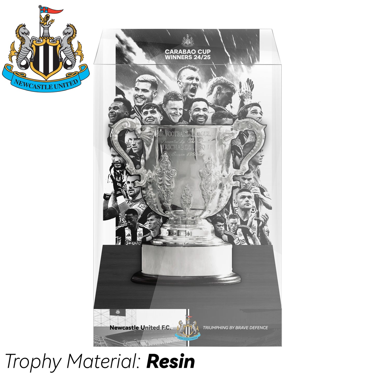 EFL Carabao Cup Championship Trophy Display Case