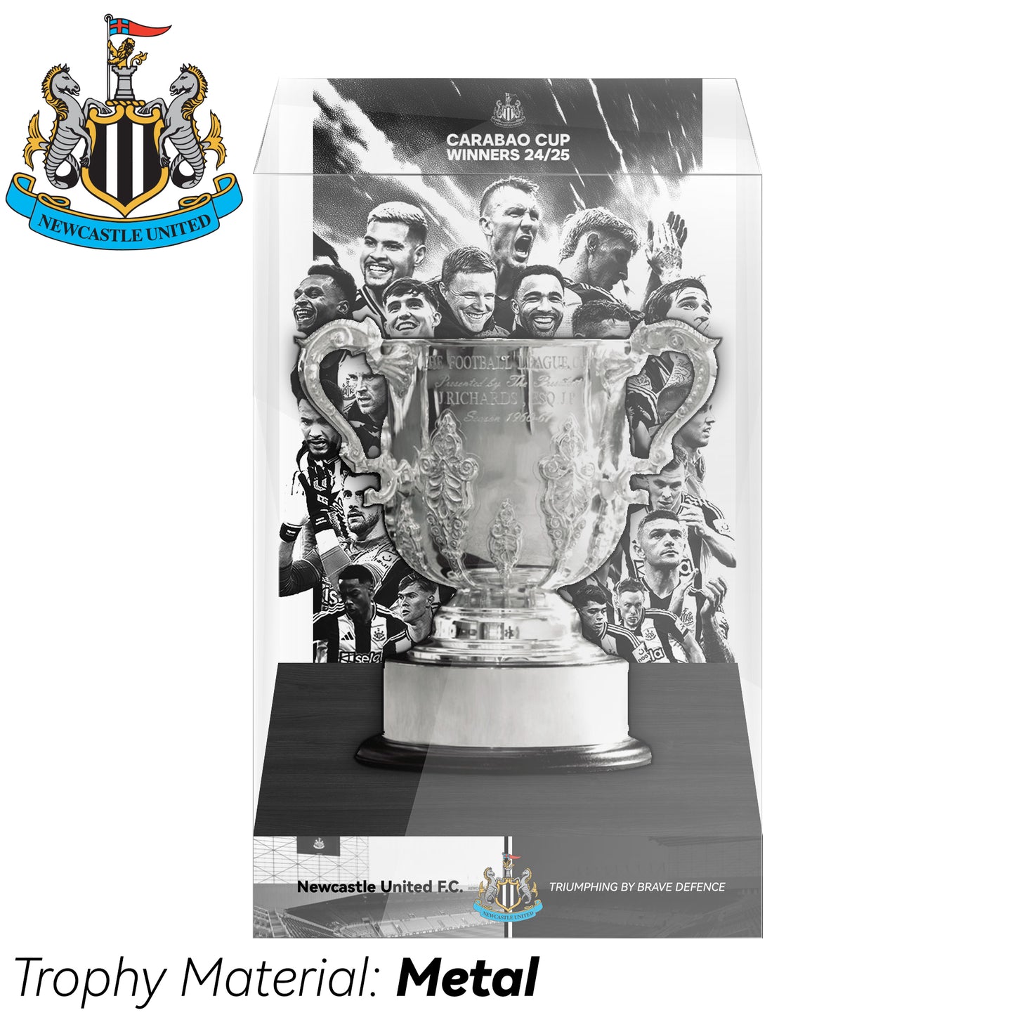 EFL Carabao Cup Championship Trophy Display Case