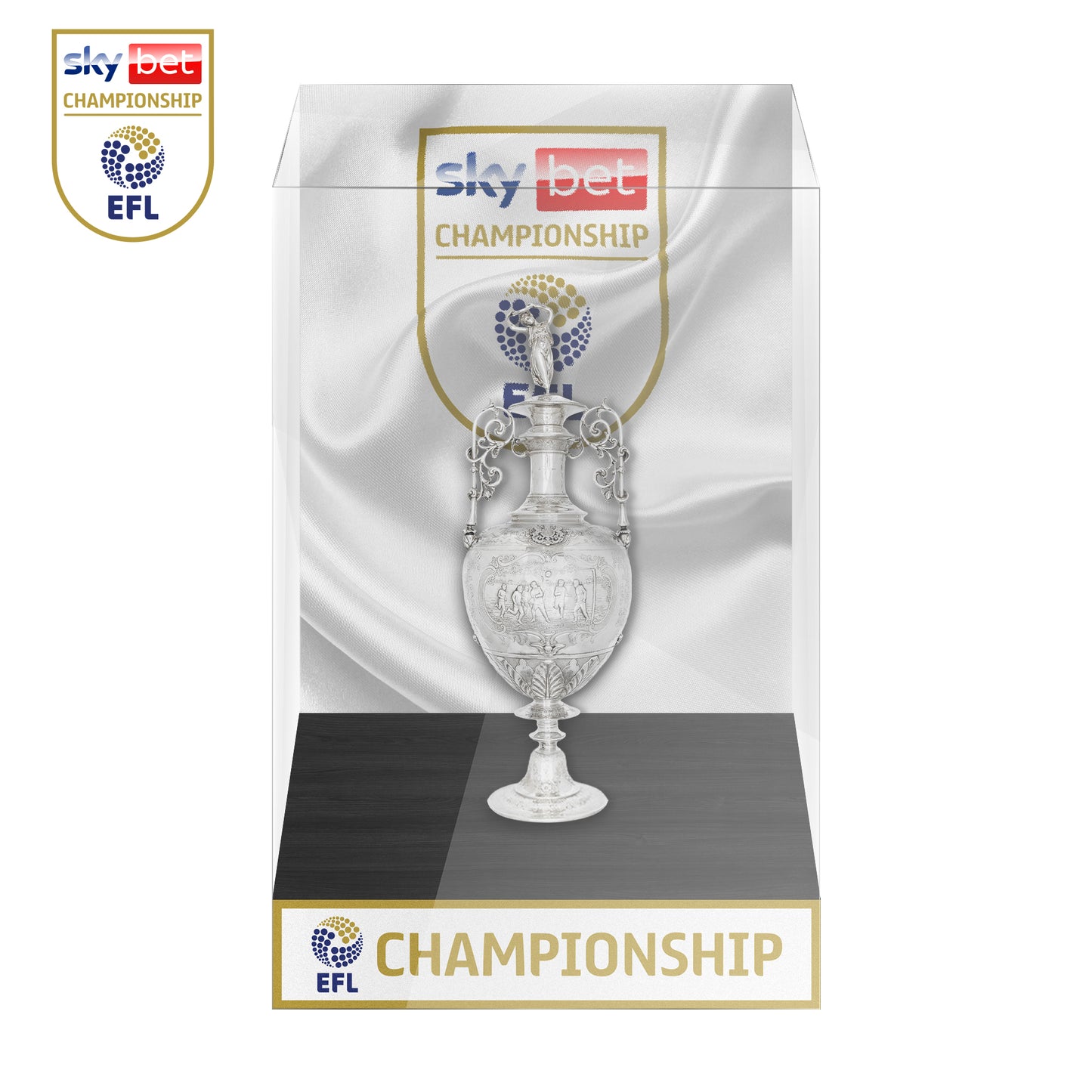 EFL Championship Trophy Display Case