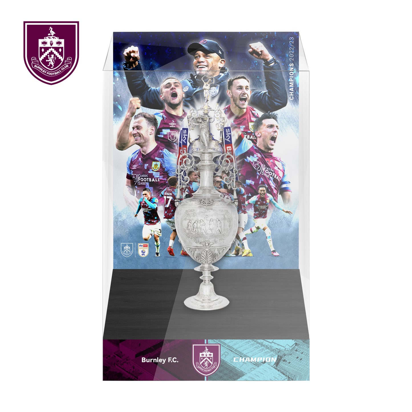 EFL Championship Trophy Display Case
