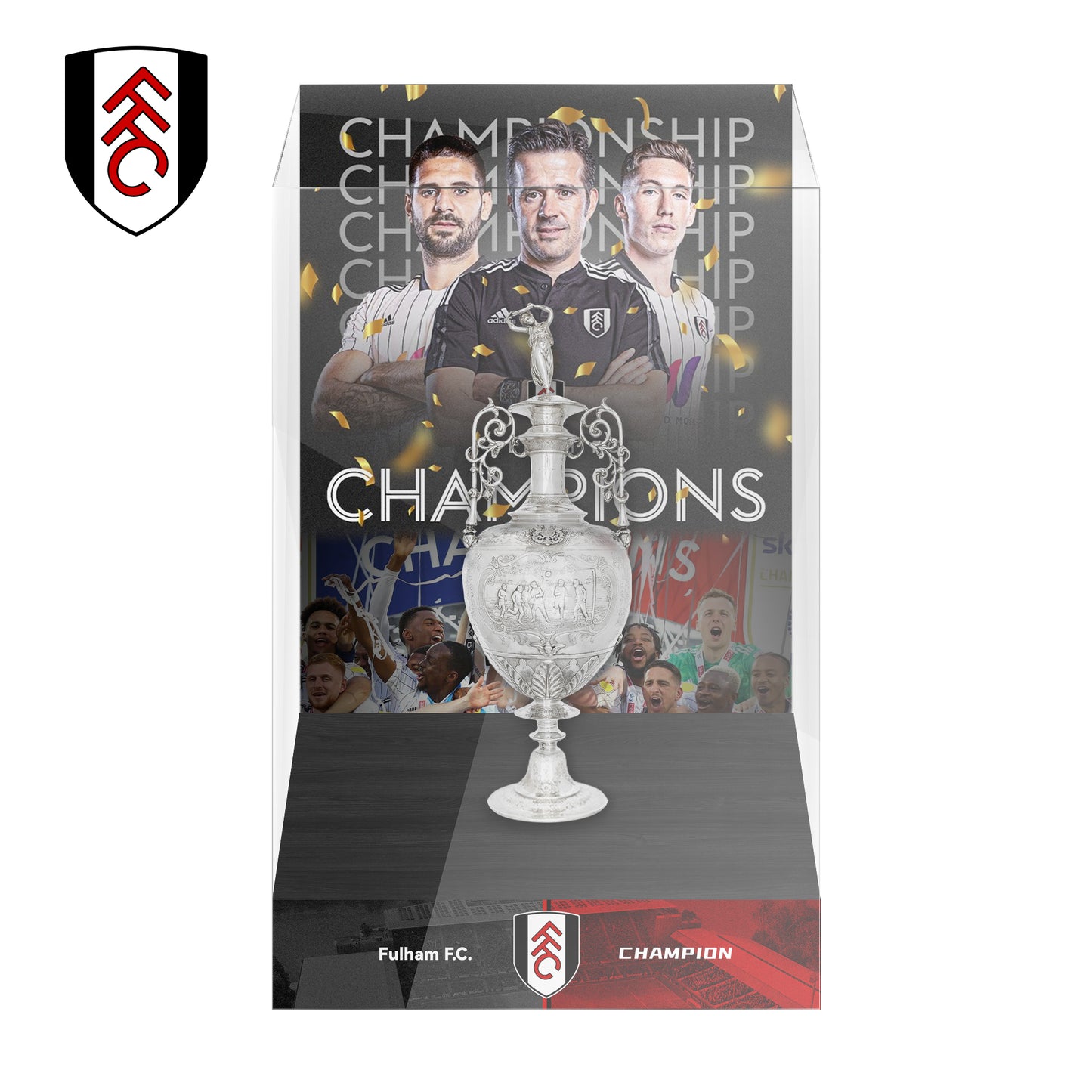 EFL Championship Trophy Display Case