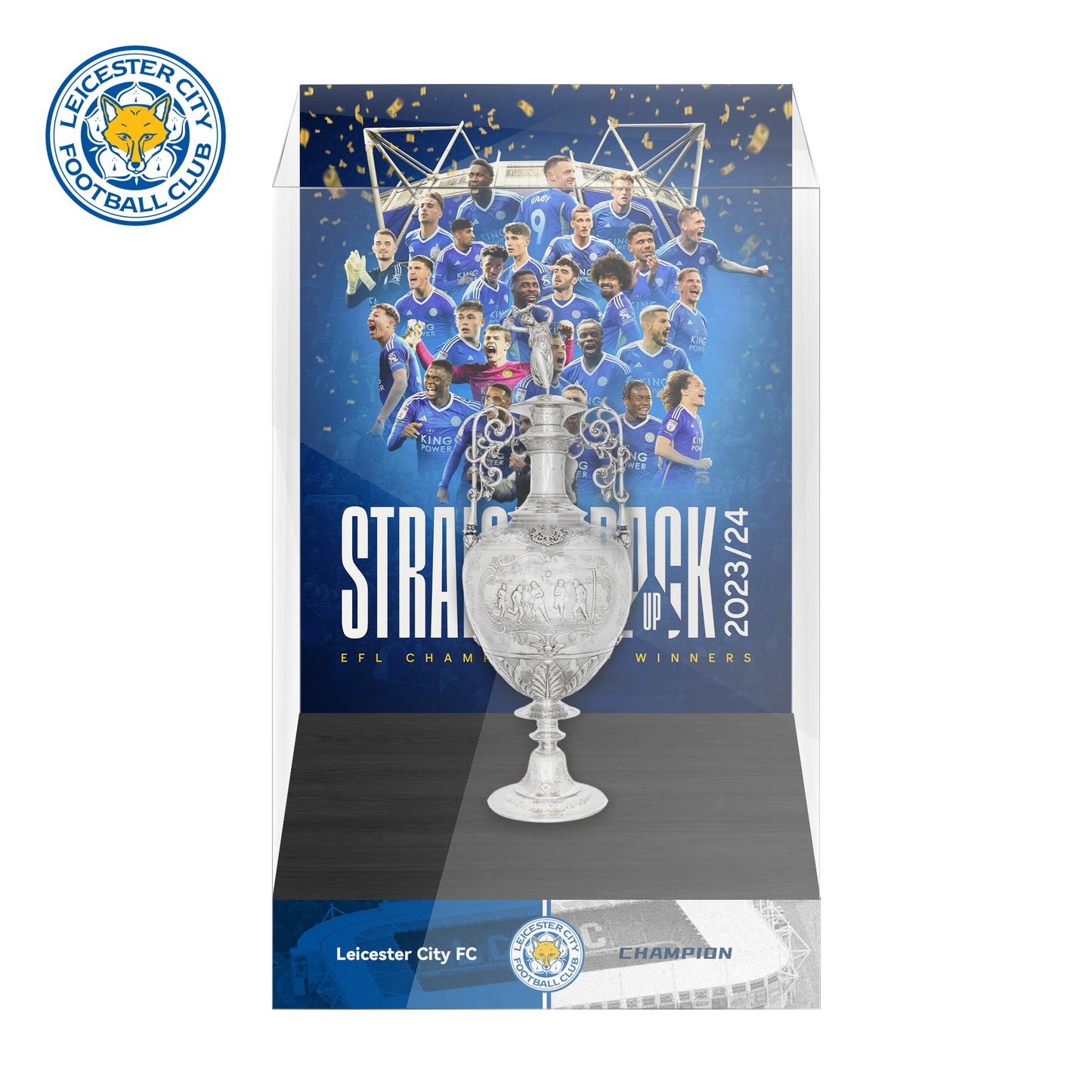 EFL Championship Trophy Display Case