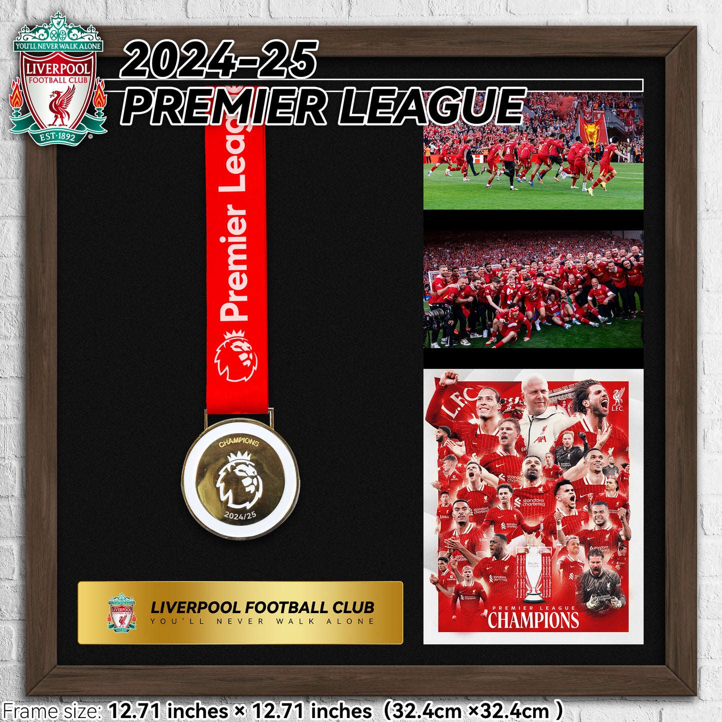 Liverpool Premier League Championship Football Medal Frame
