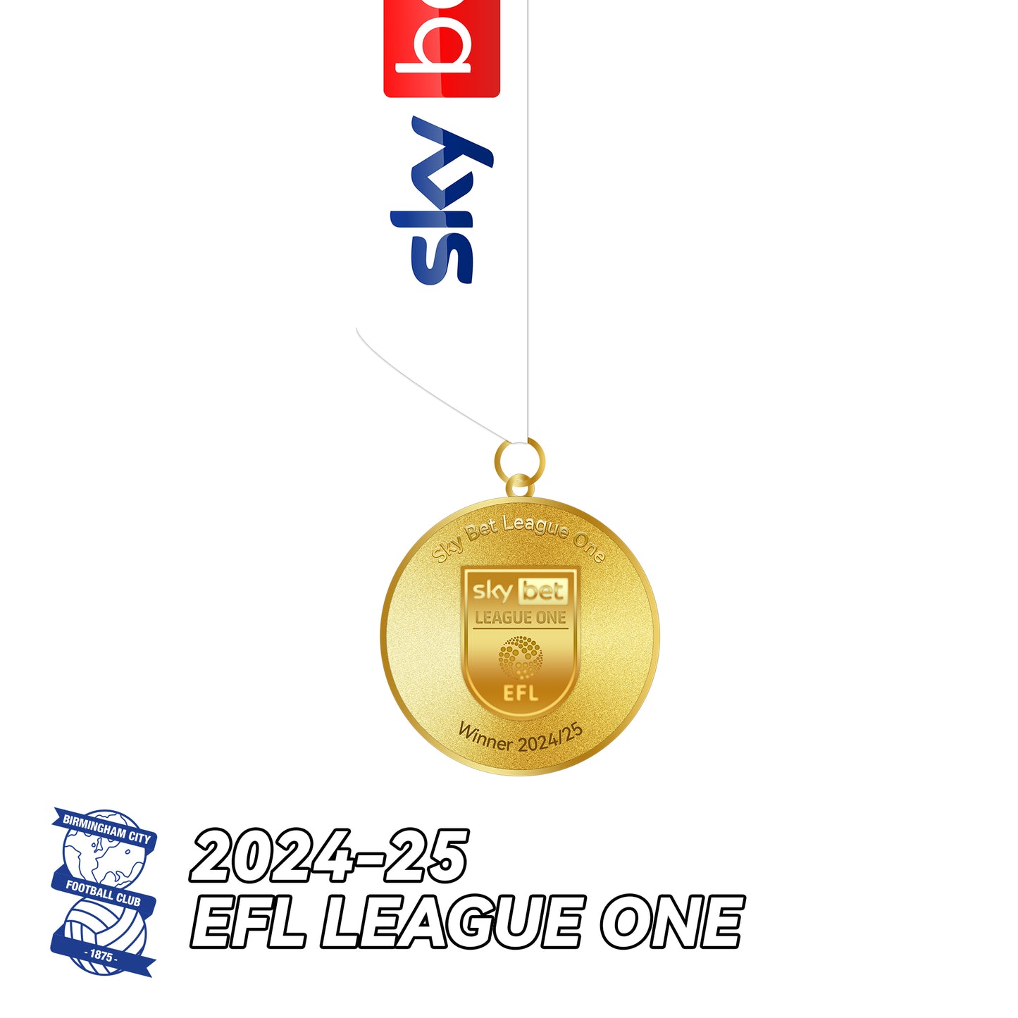 2024-25 EFL League One Birmingham City Football Medal Frame