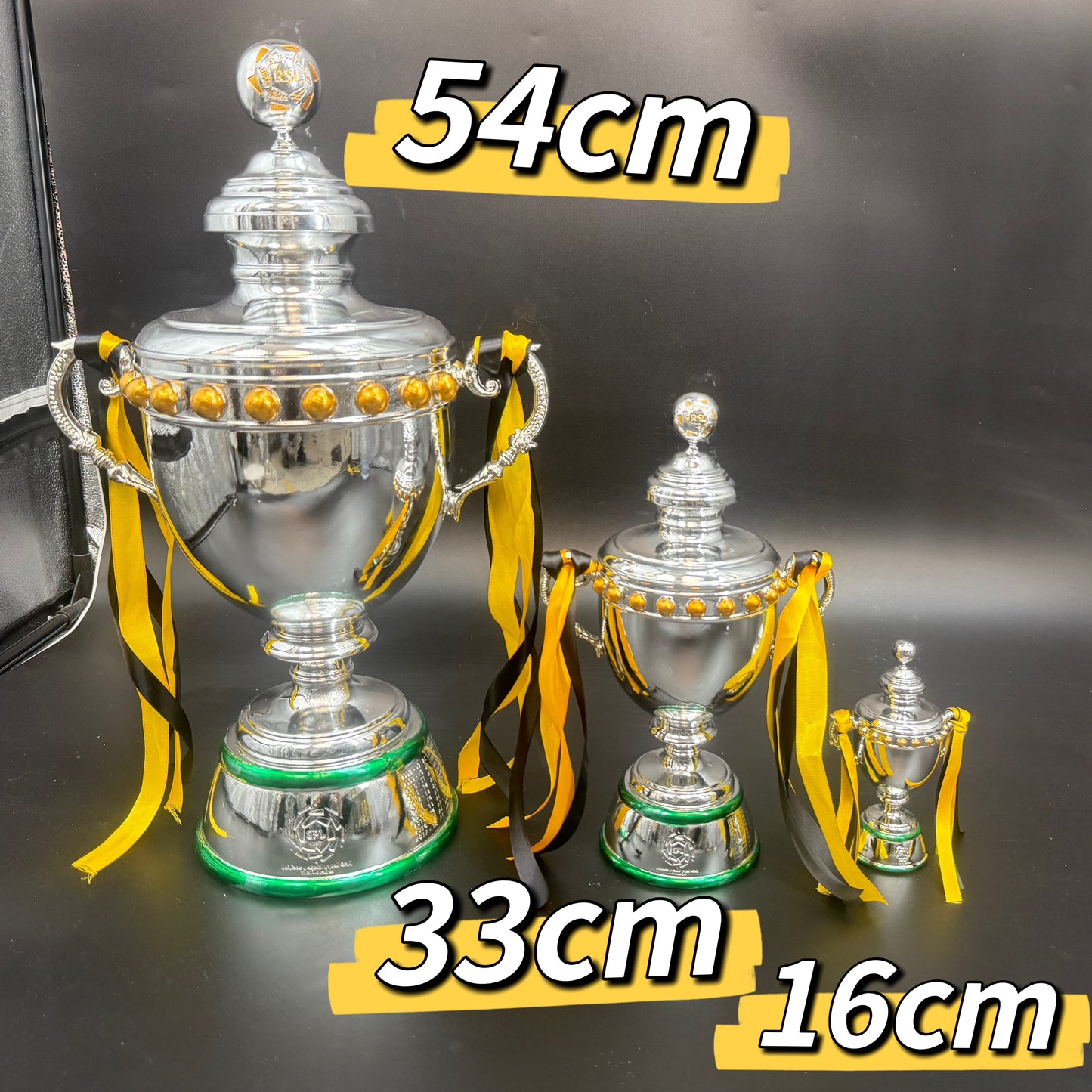 Roshn Saudi League Trophy