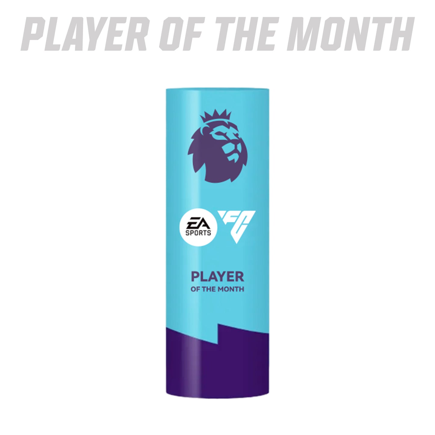 Premier League Best Player Award Trophy