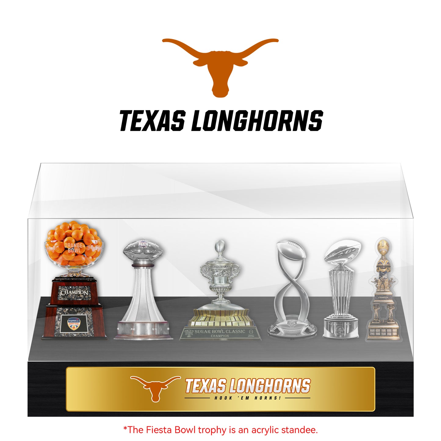 Texas Longhorns Champions Trophy Display Case