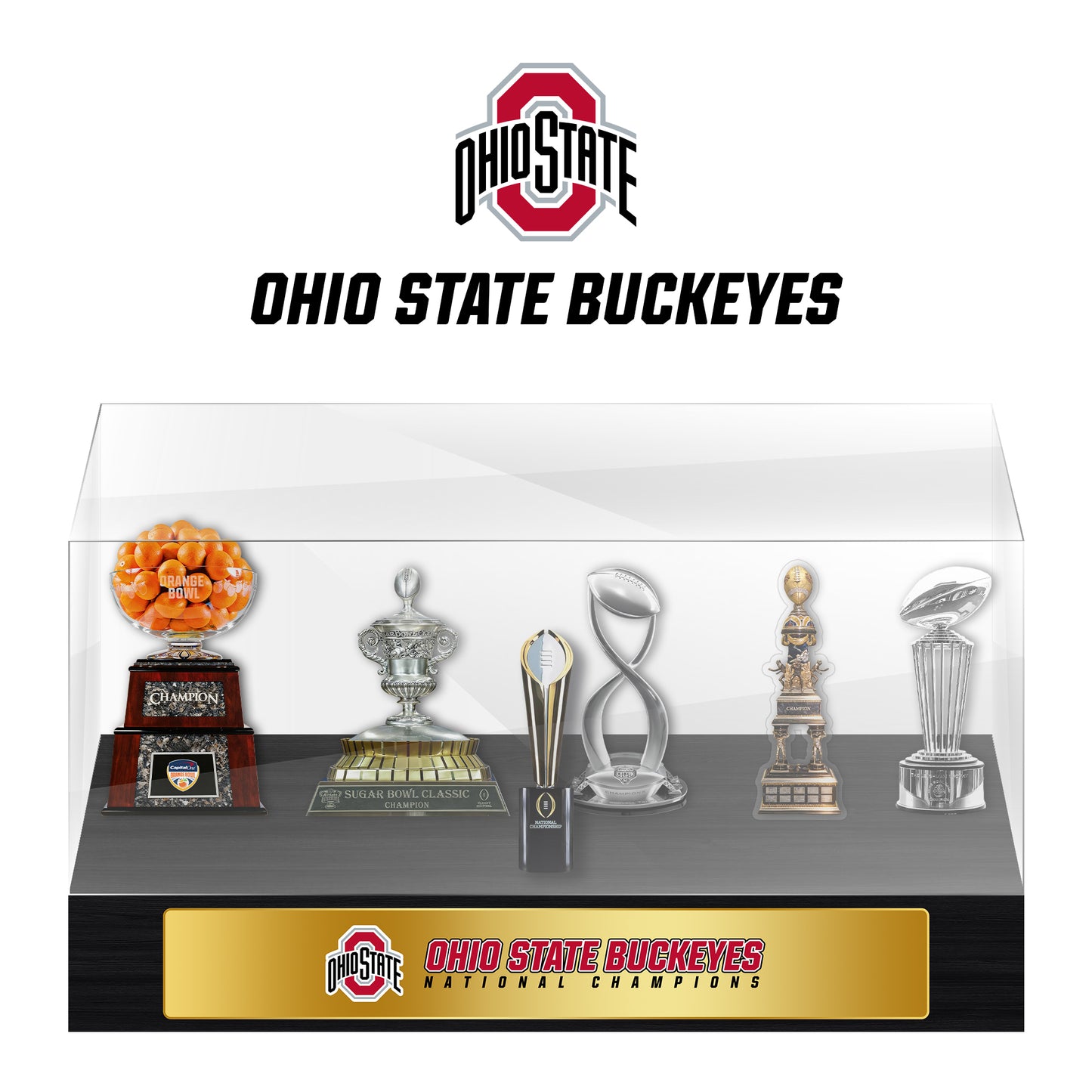 Ohio State Buckeyes Champions Trophy Display Case