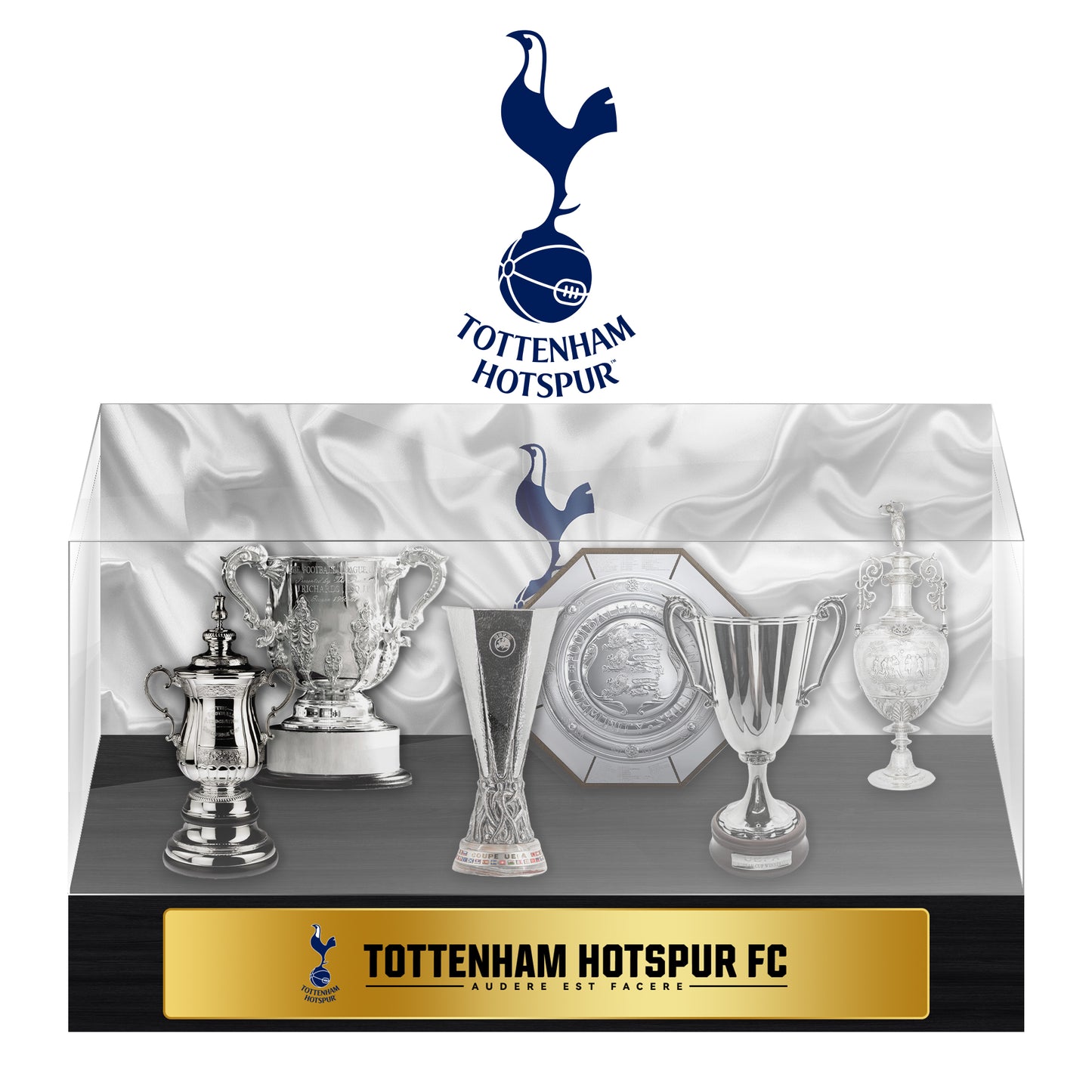 Tottenham Hotspur Football Championship Trophy Display Case