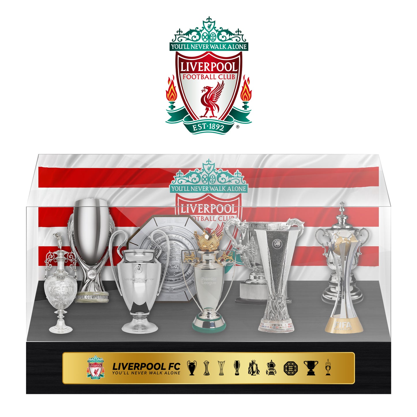 Liverpool Football Championship Trophy Display Case