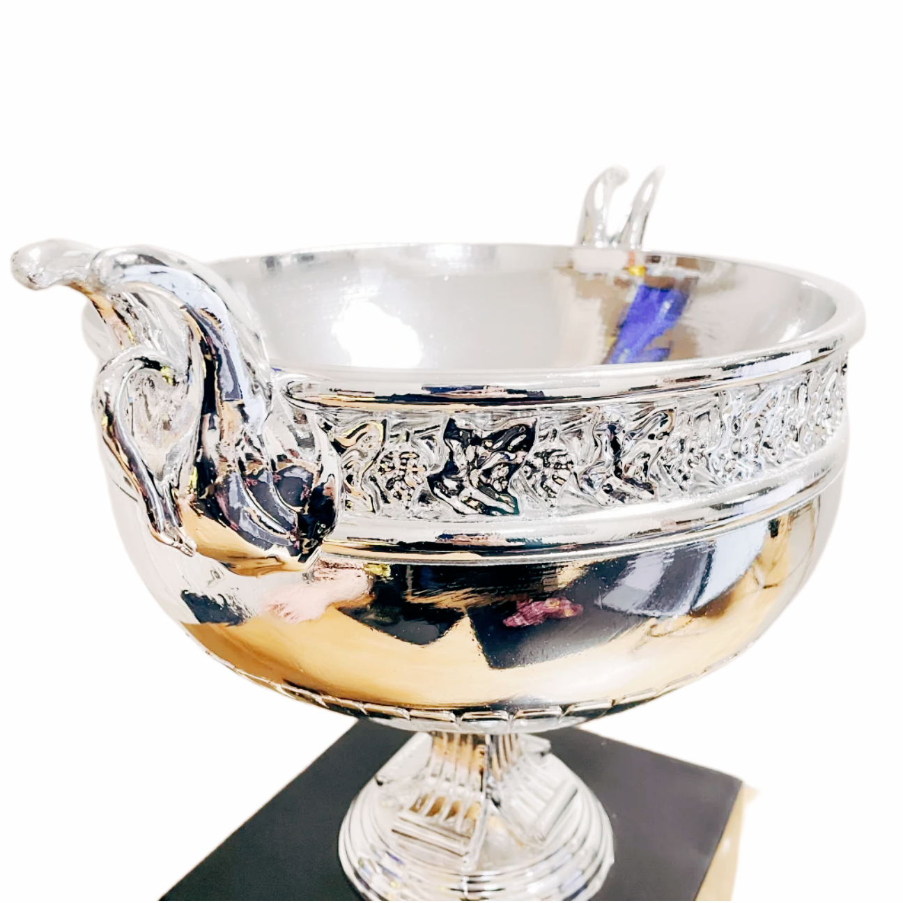 Roland Garros French Open Tennis Men's Champions Trophy