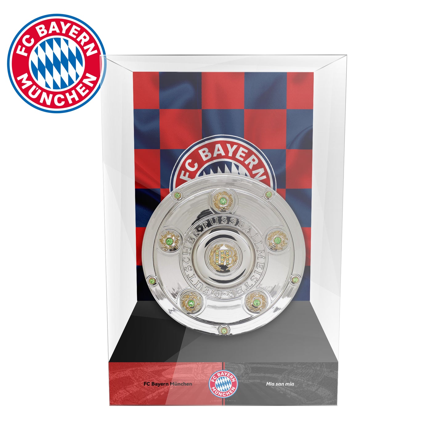 Bundesliga Championship Trophy Display Case
