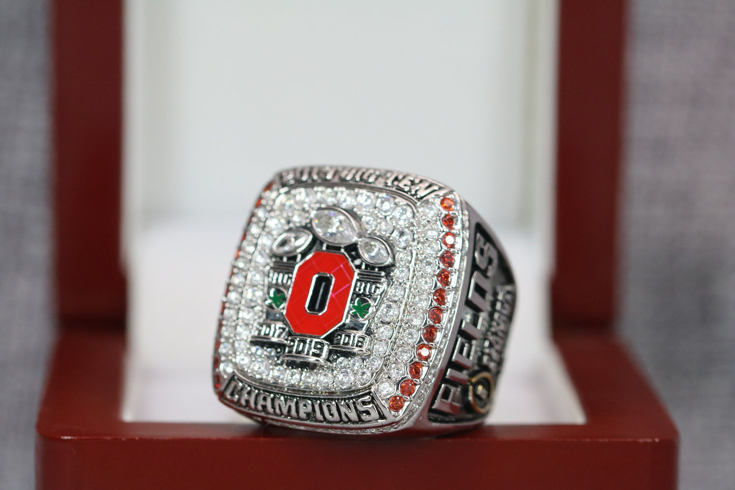 2019 Ohio State Buckeyes Big 10 Championship Ring- Premium Series