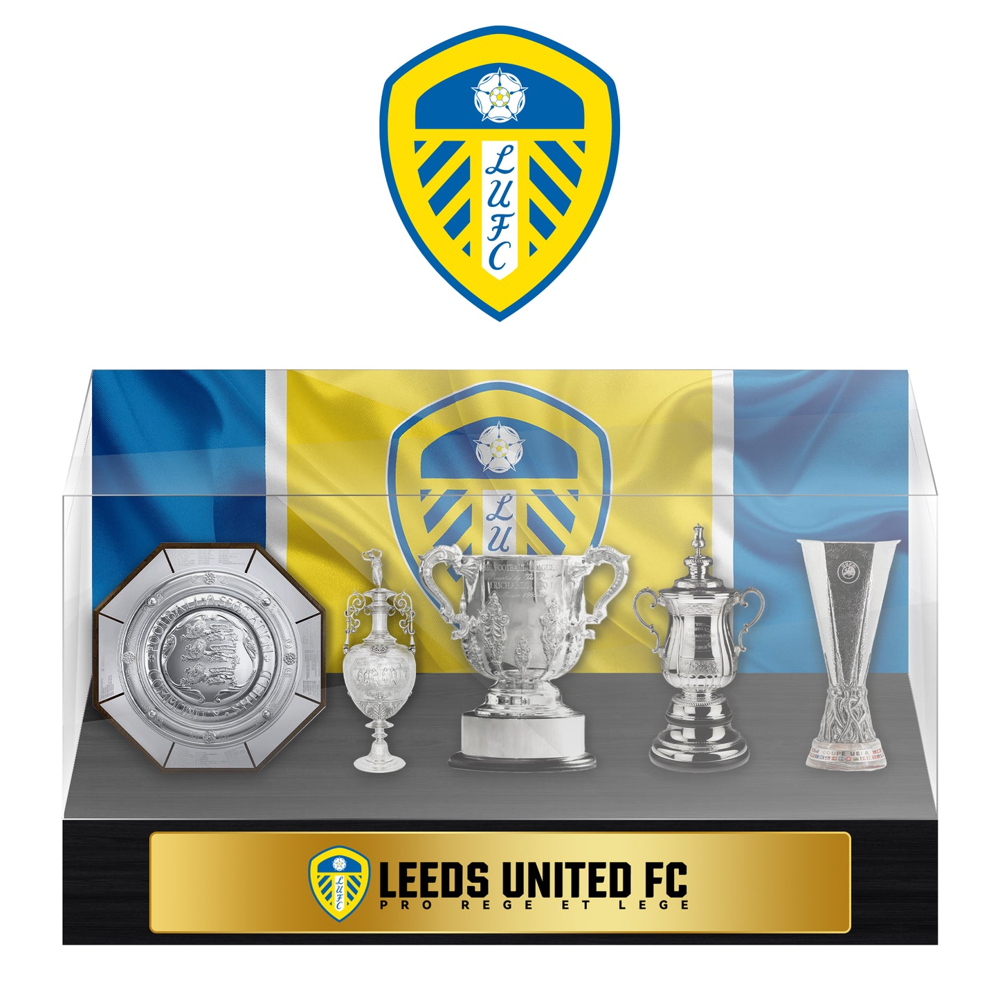 Leeds United Football Championship Trophy Display Case