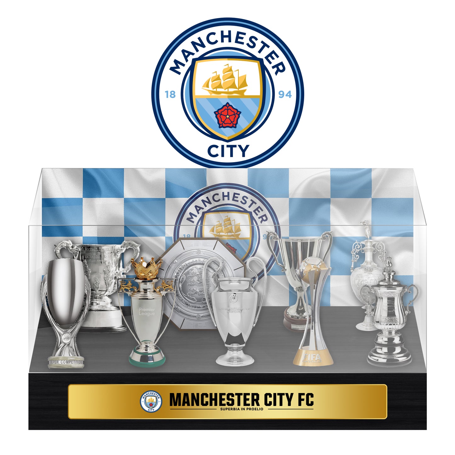 Manchester City Football Championship Trophy Display Case
