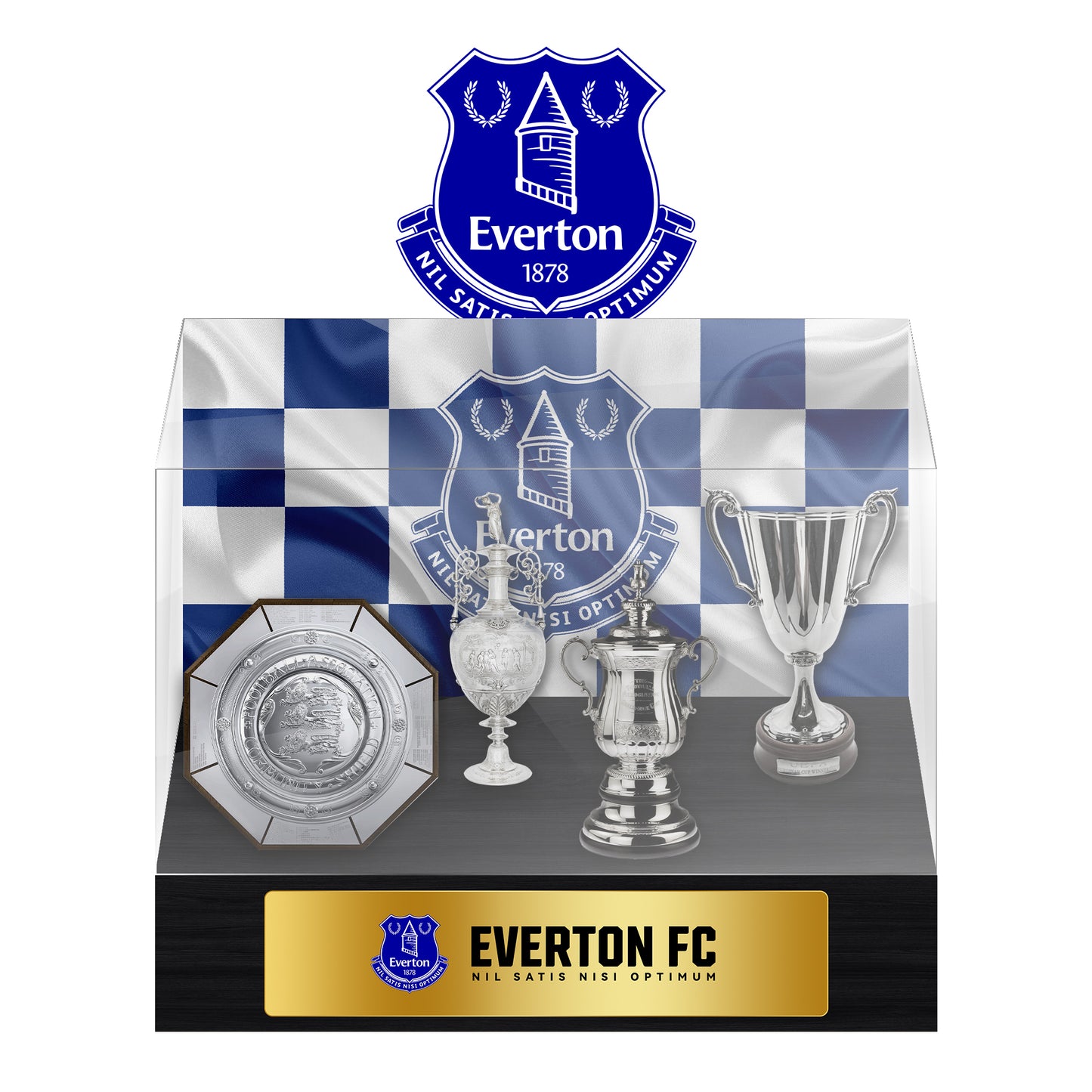 Everton Football Championship Trophy Display Case