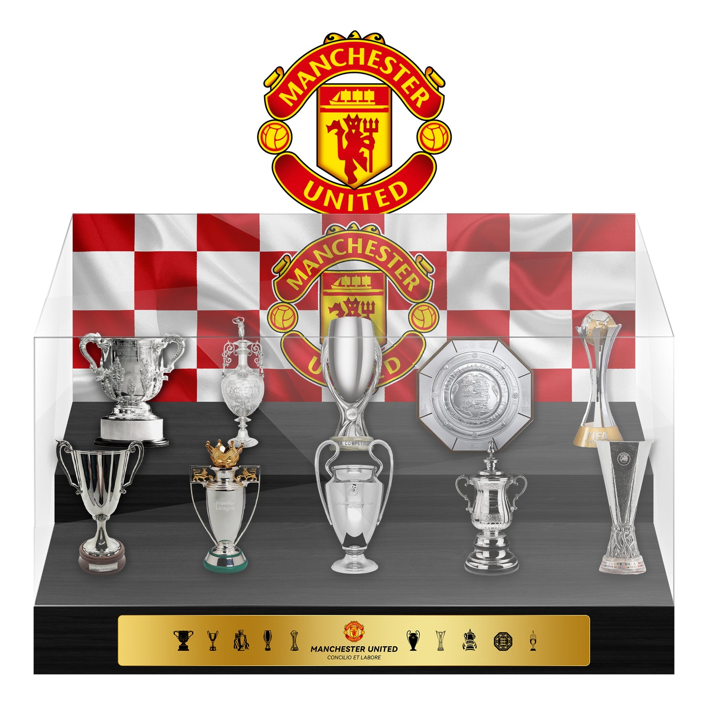 Manchester United Football Championship Trophy Display Case