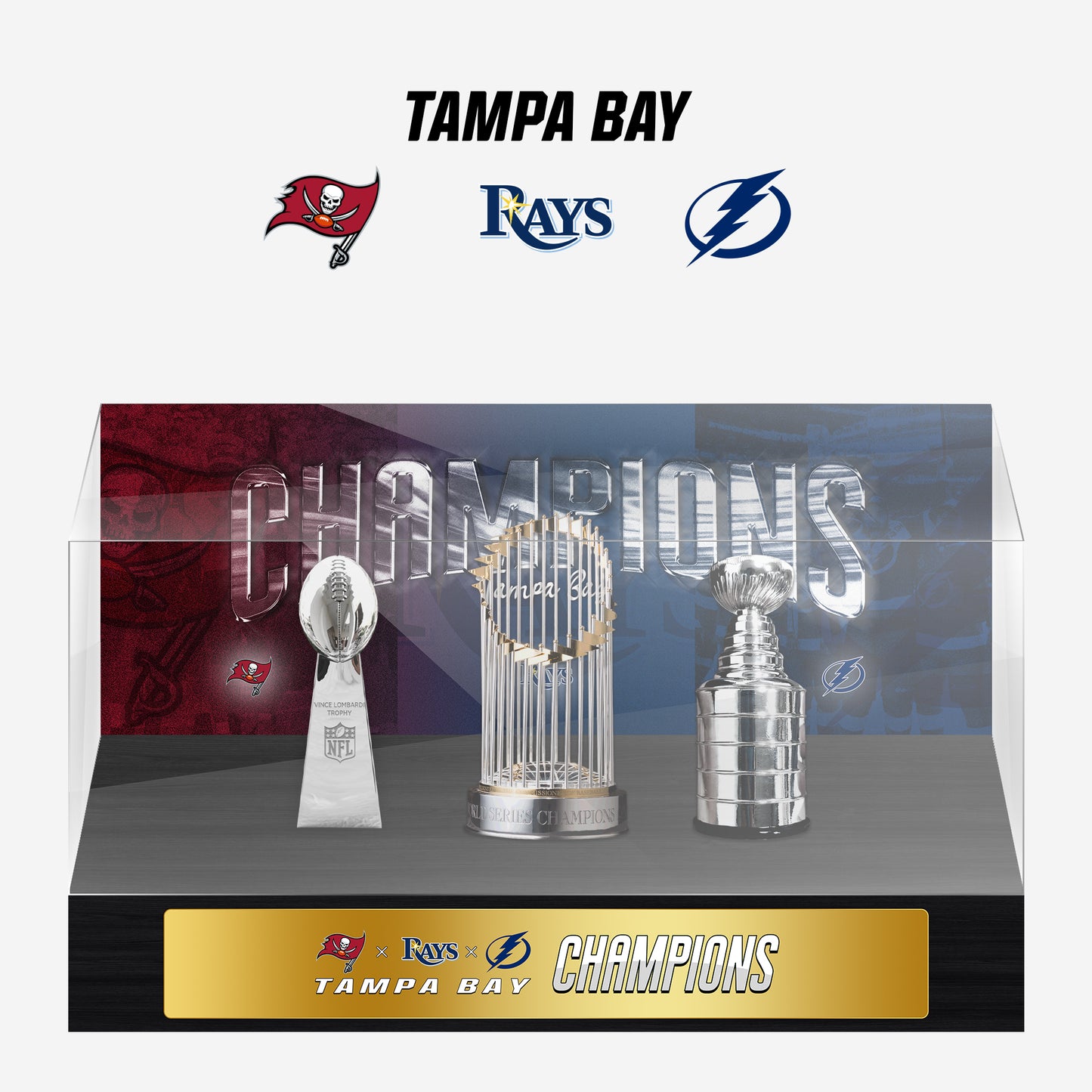 Tampa Bay Championship Trophy and Rings Display Case