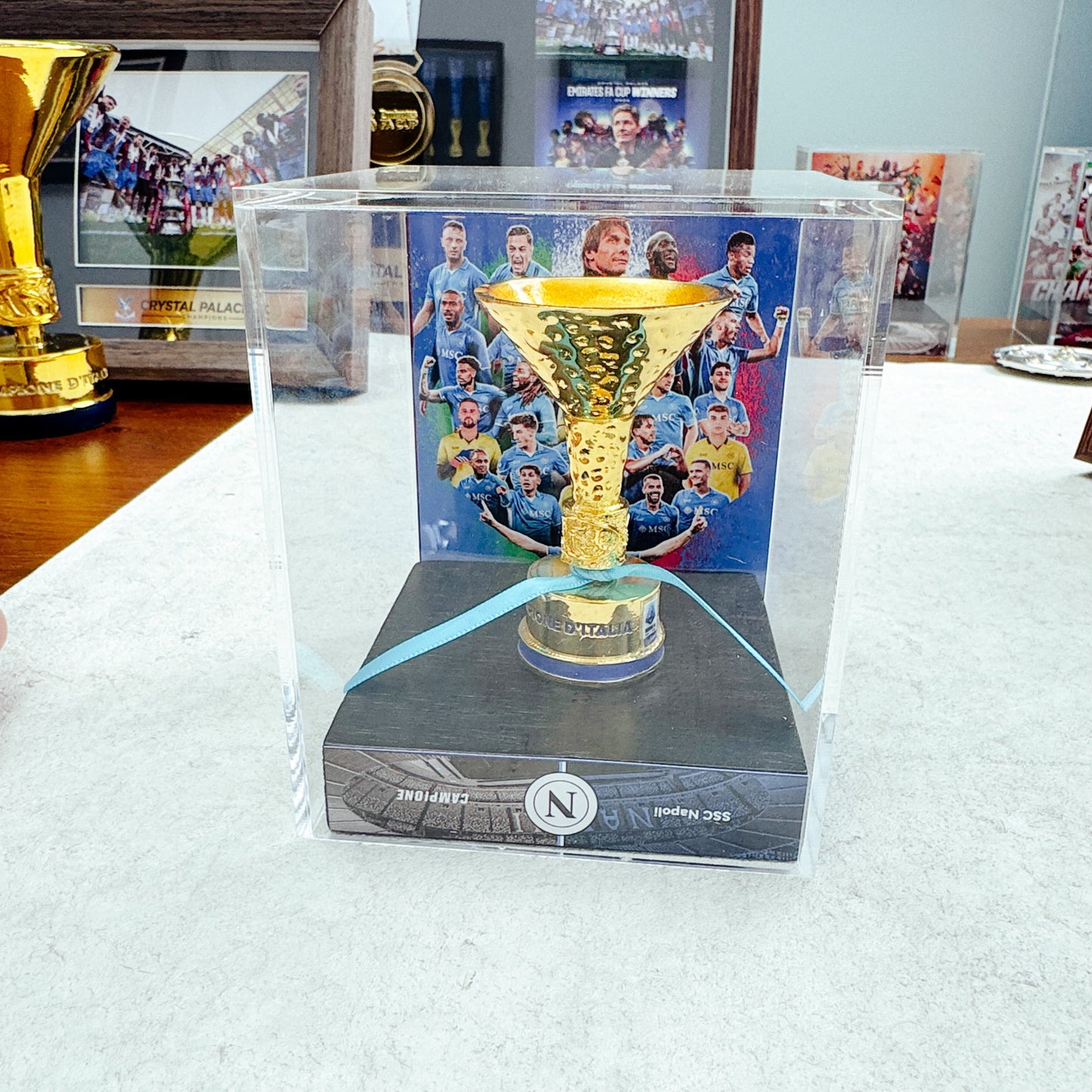 Serie A Championship Trophy Display Case
