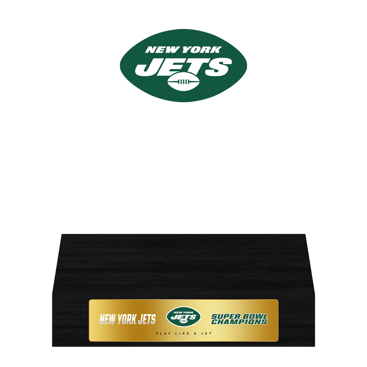 New York Jets Super Bowl Championship Trophy Ring Display Case