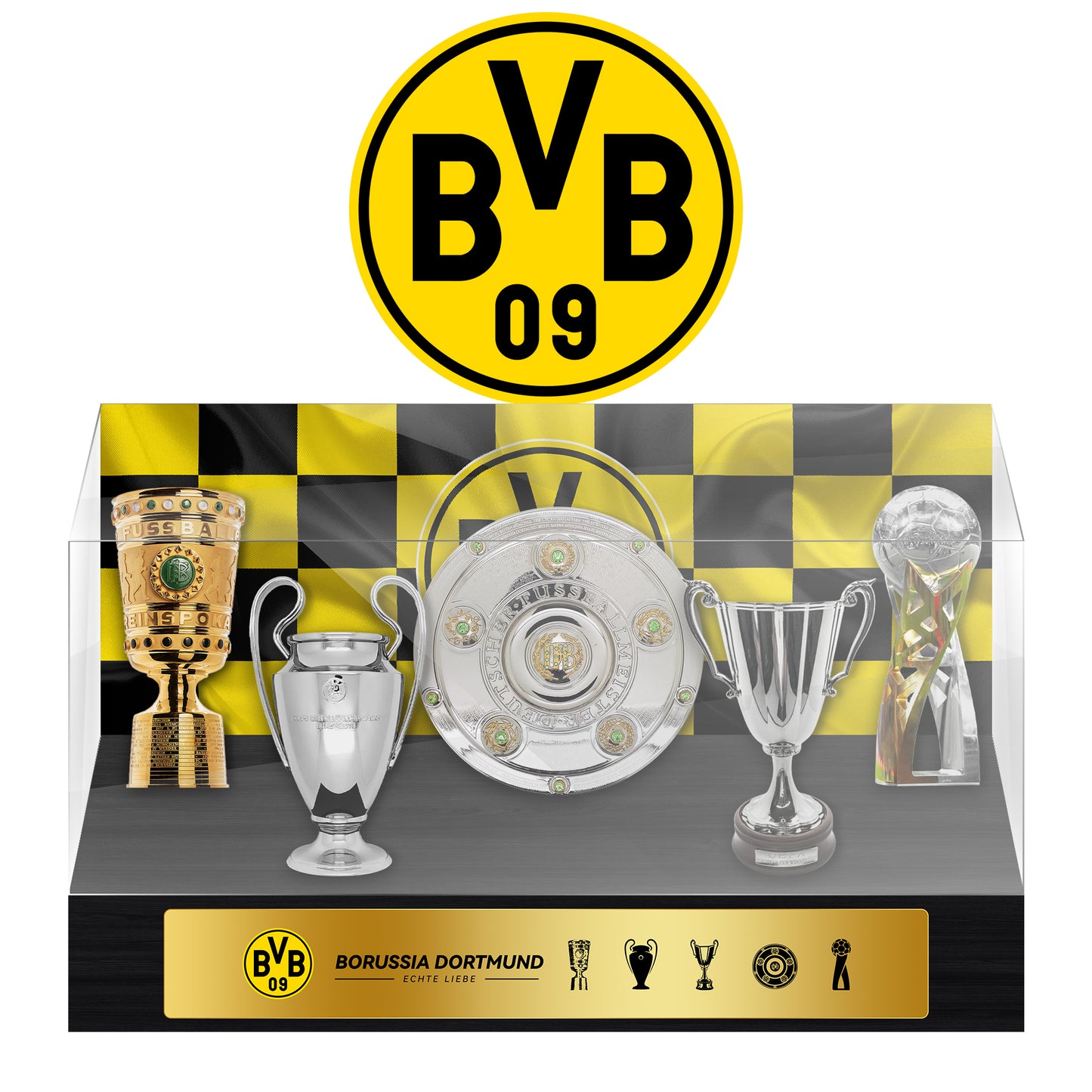 Borussia Dortmund Football Championship Trophy Display Case