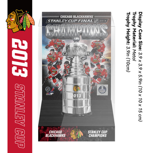 2013 Chicago Blackhawks Stanley Cup Final Championship Trophy and Ring Display Case