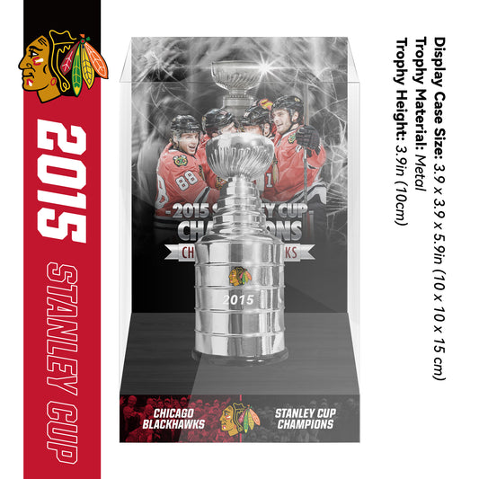 2015 Chicago Blackhawks Stanley Cup Final Championship Trophy and Ring Display Case