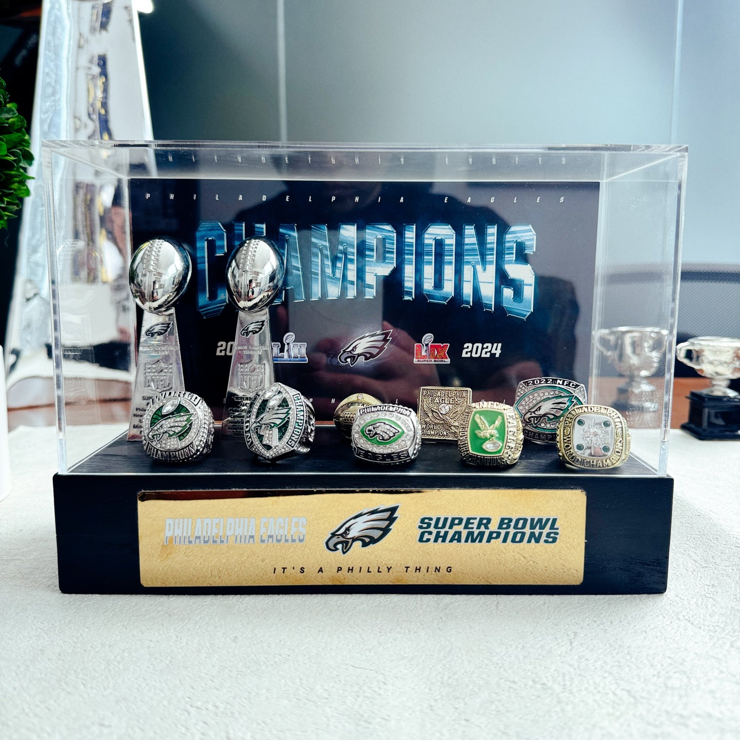 Philadelphia Eagles Super Bowl Championship Trophy Ring Display Case