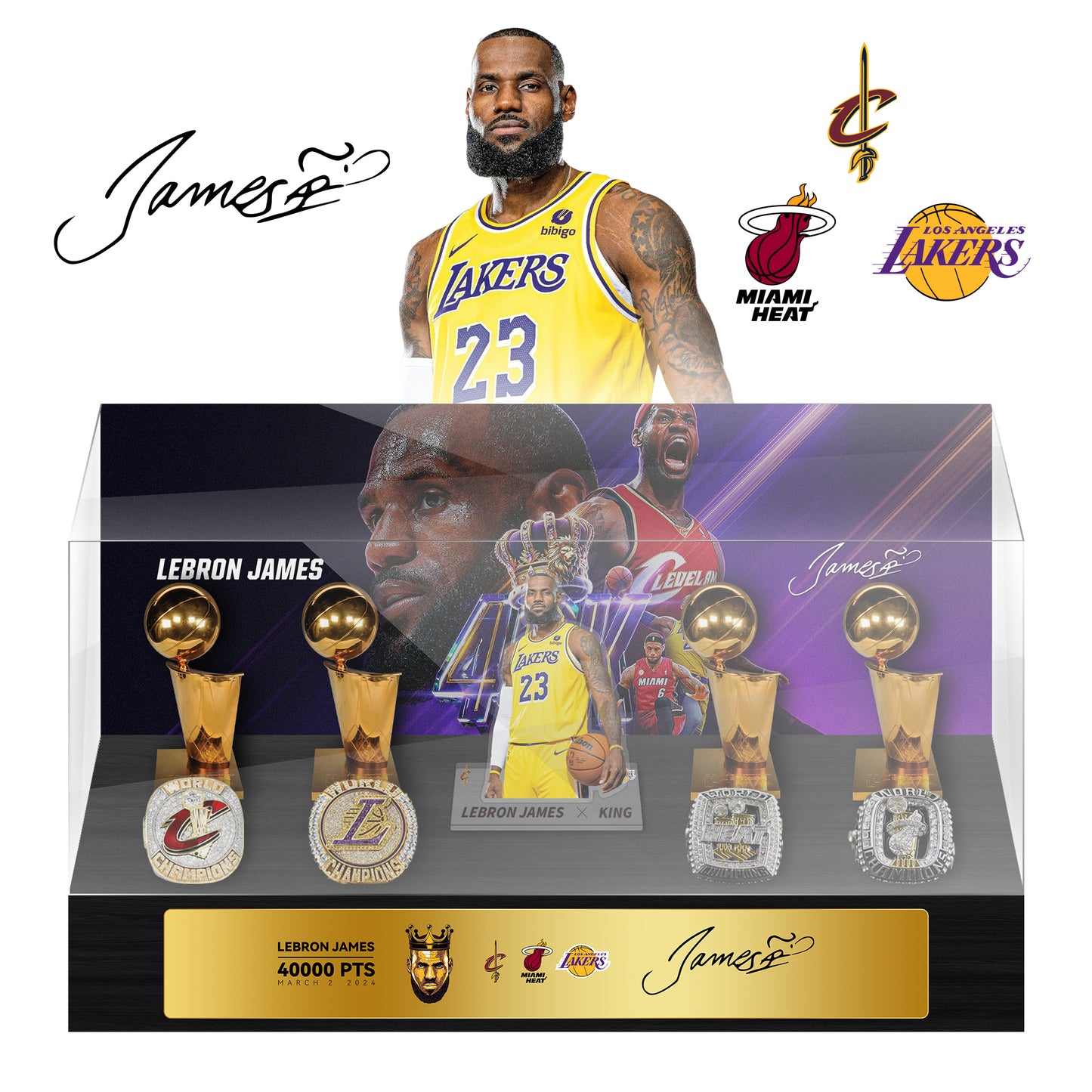 LeBron James NBA championship trophy and  rings Display Case