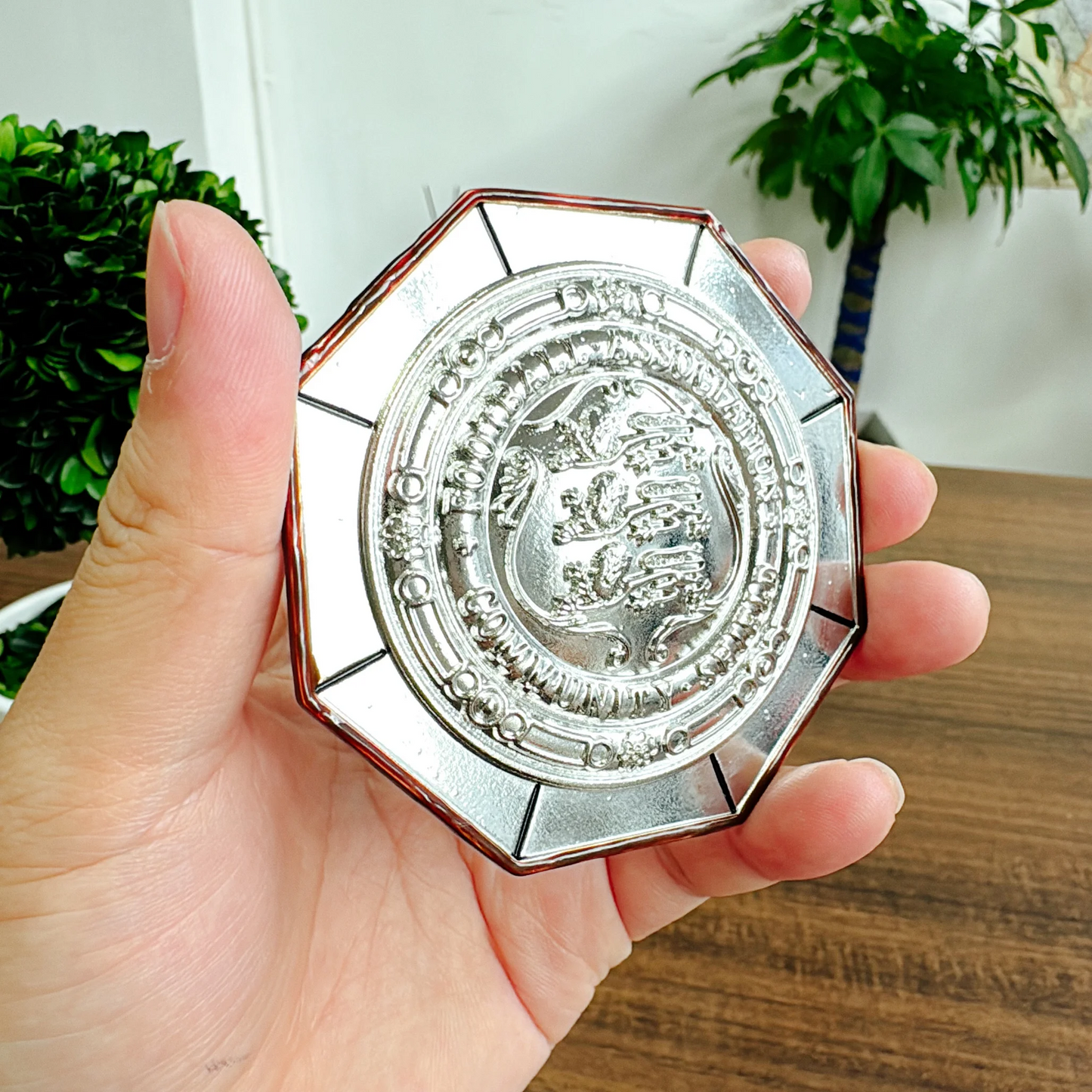 2025 Crystal Palace F.C. FA Community Shield Championship Trophy Display Case