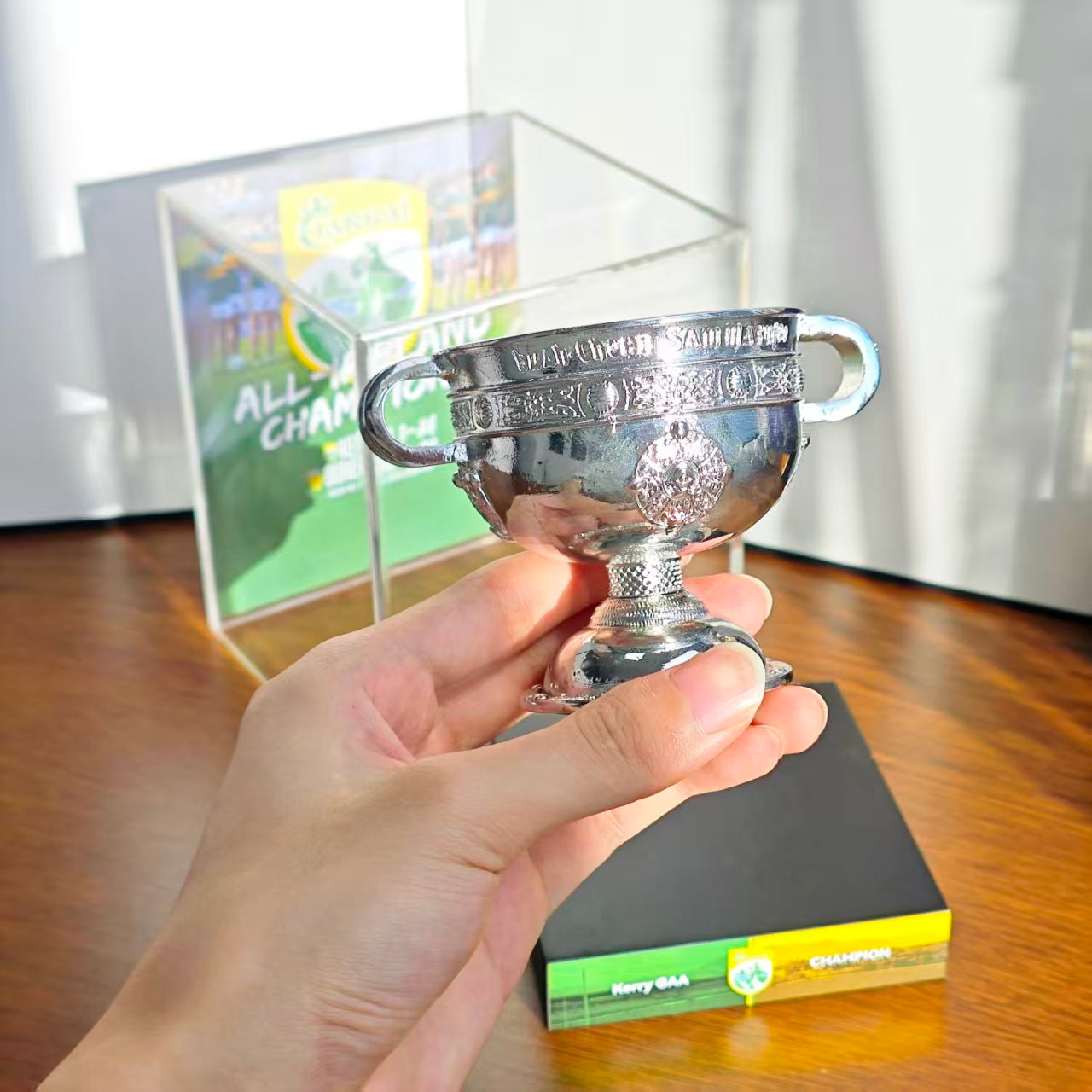 All-Ireland Senior Football Championship Trophy Display Case