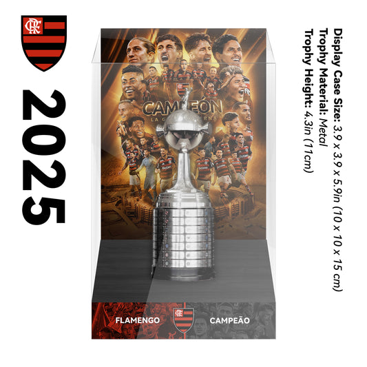 Copa Libertadores Championship Trophy Display Case
