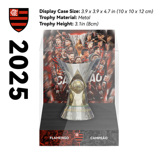 Campeonato Brasileiro Série A Championship Trophy Display Case