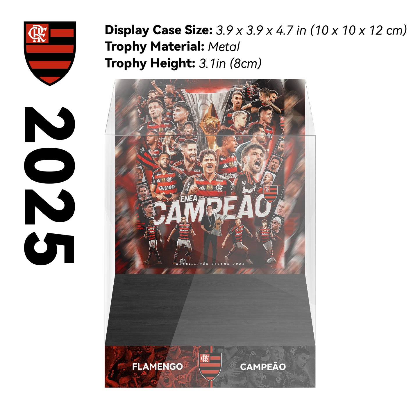 Campeonato Brasileiro Série A Championship Trophy Display Case