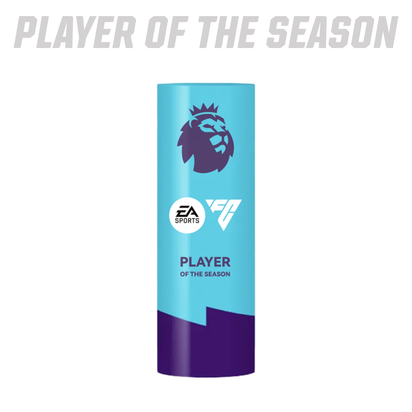 Premier League Best Player Award Trophy