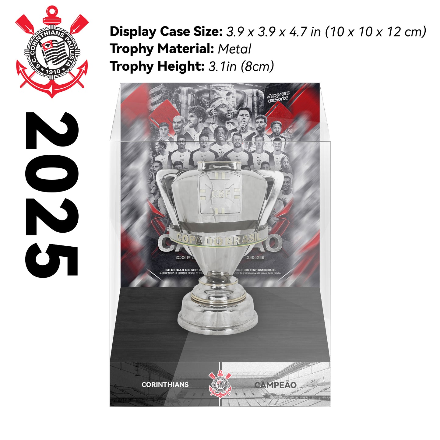 Copa do Brasil Championship Trophy Display Case