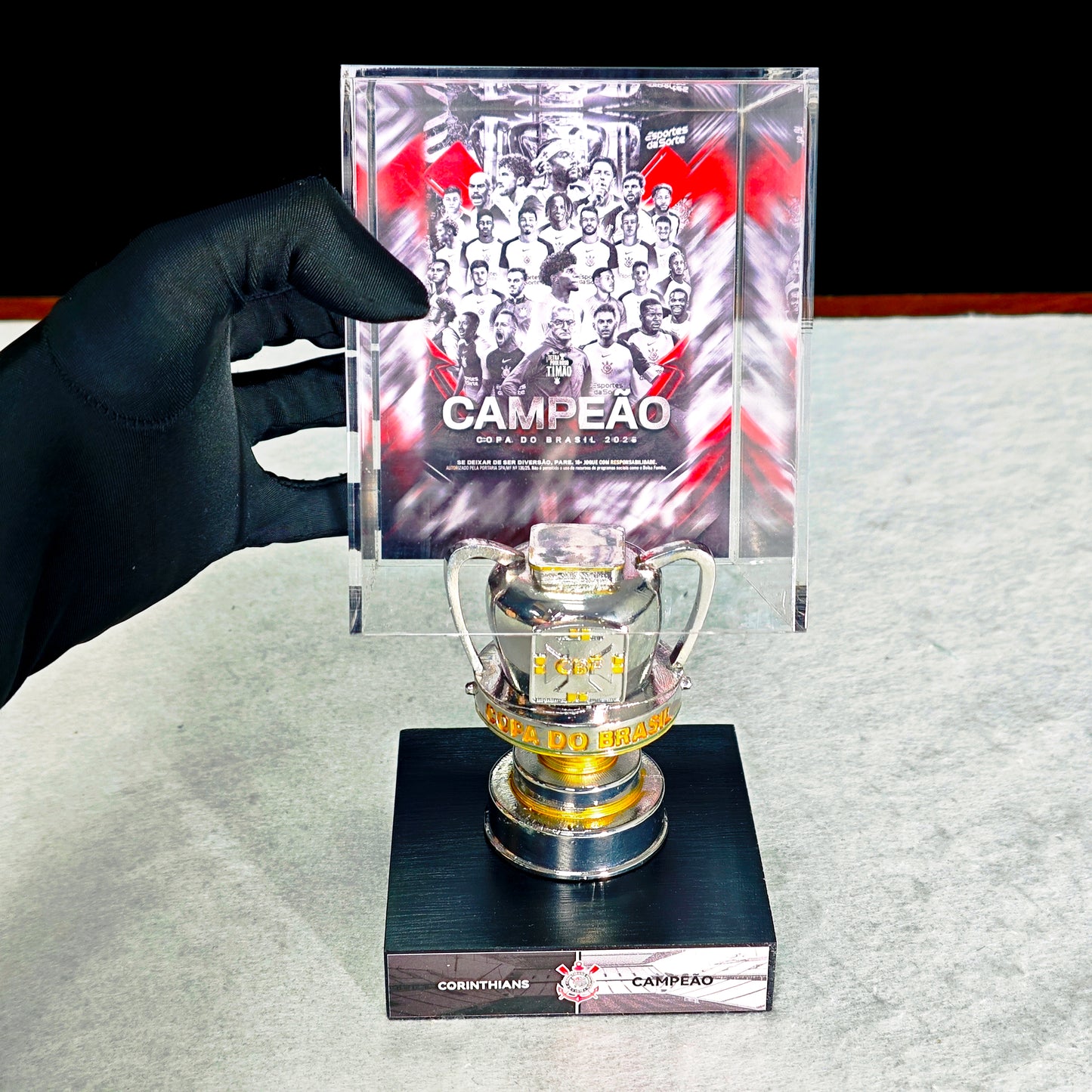Copa do Brasil Championship Trophy Display Case
