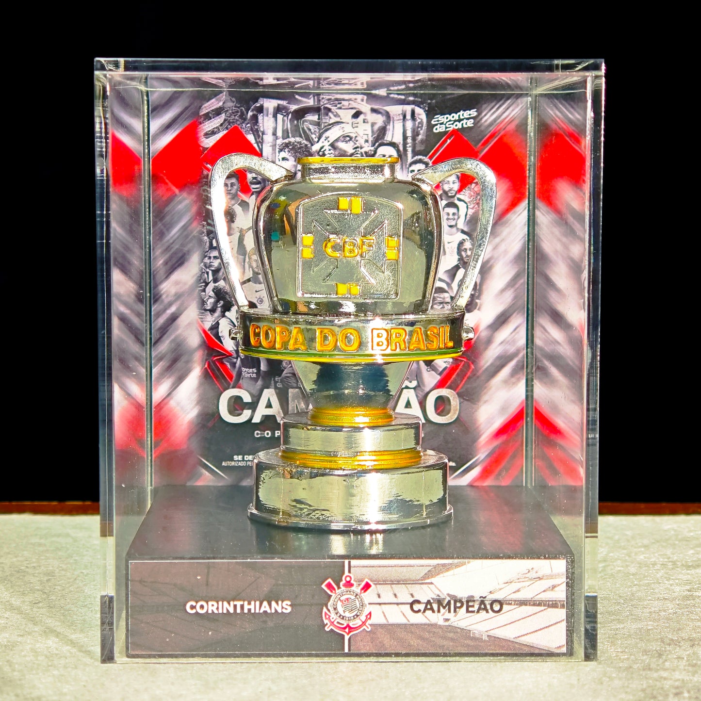Copa do Brasil Championship Trophy Display Case