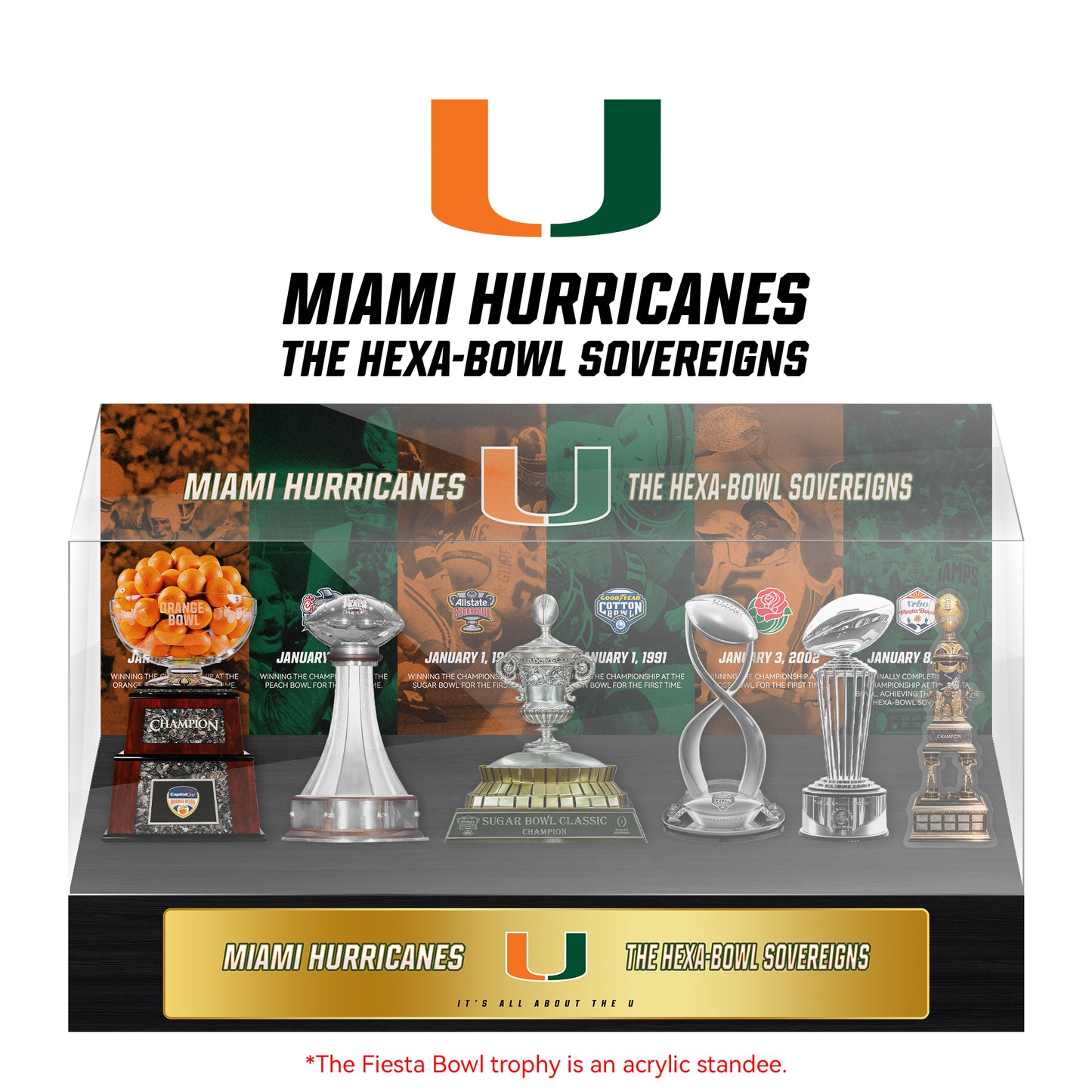 Miami Hurricanes Bowl Games Champions Trophy Display Case